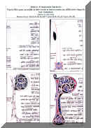 fiche6.jpg (237652 octets)
