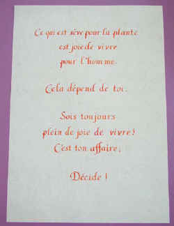 2.chancellire patricia.jpg (27129 octets)