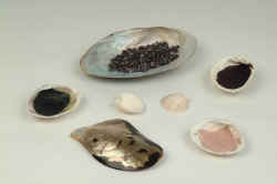 Les coquillages sont de parfaits rcipients pour mlanger les pigments  avec lun liant, tel que la gomme arabique. Si le plus souvent les pigments sont obtenus   partir de minraux ou de vgtaux, certains, tel le rouge, peuvent  tre fabriqus  partir de cochenilles, petit insecte originaire d'Amrique, rduit en poudre..